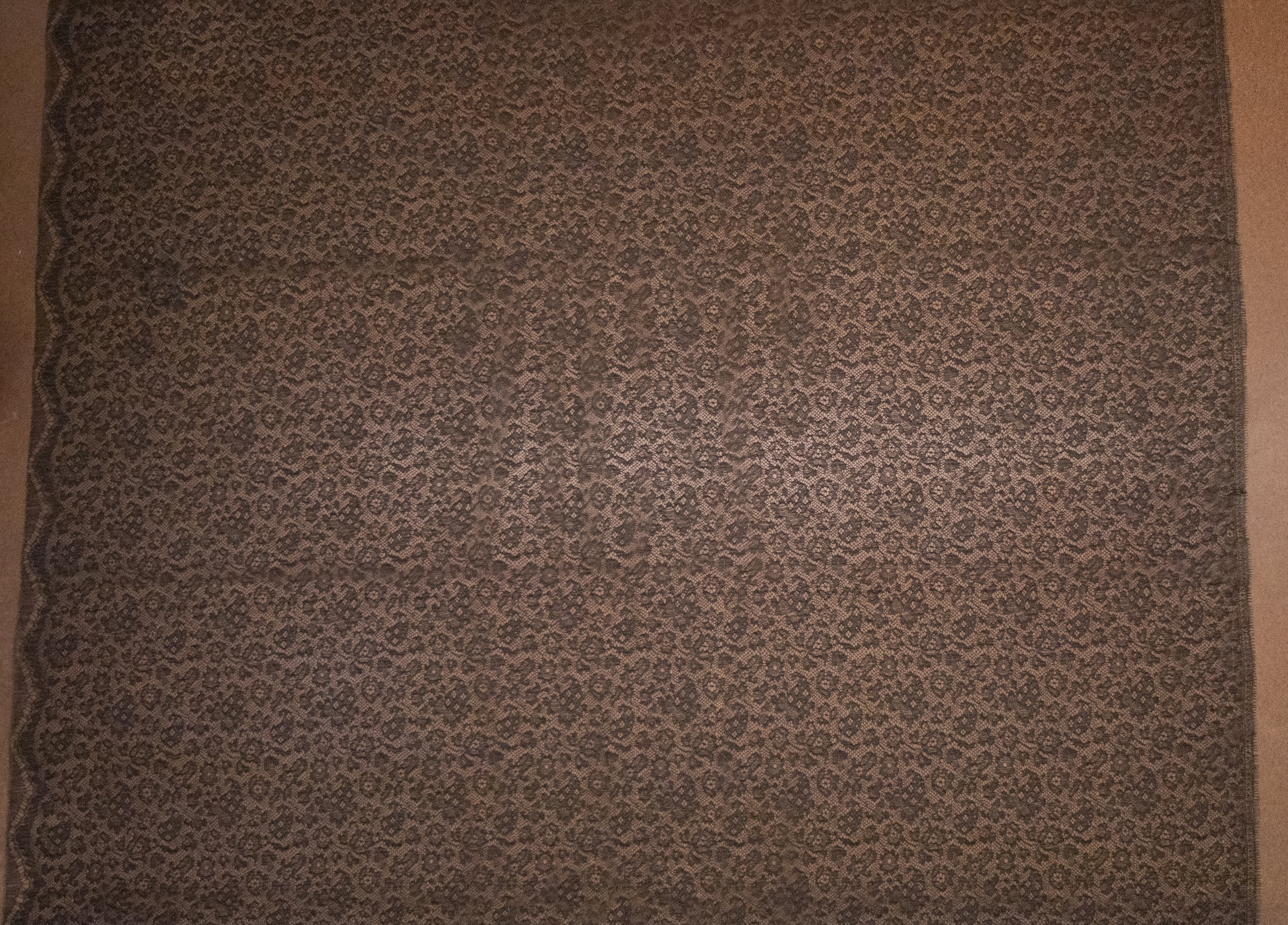 Chantilly Lace in Black/Gold Metallic, Made in France - Image 3