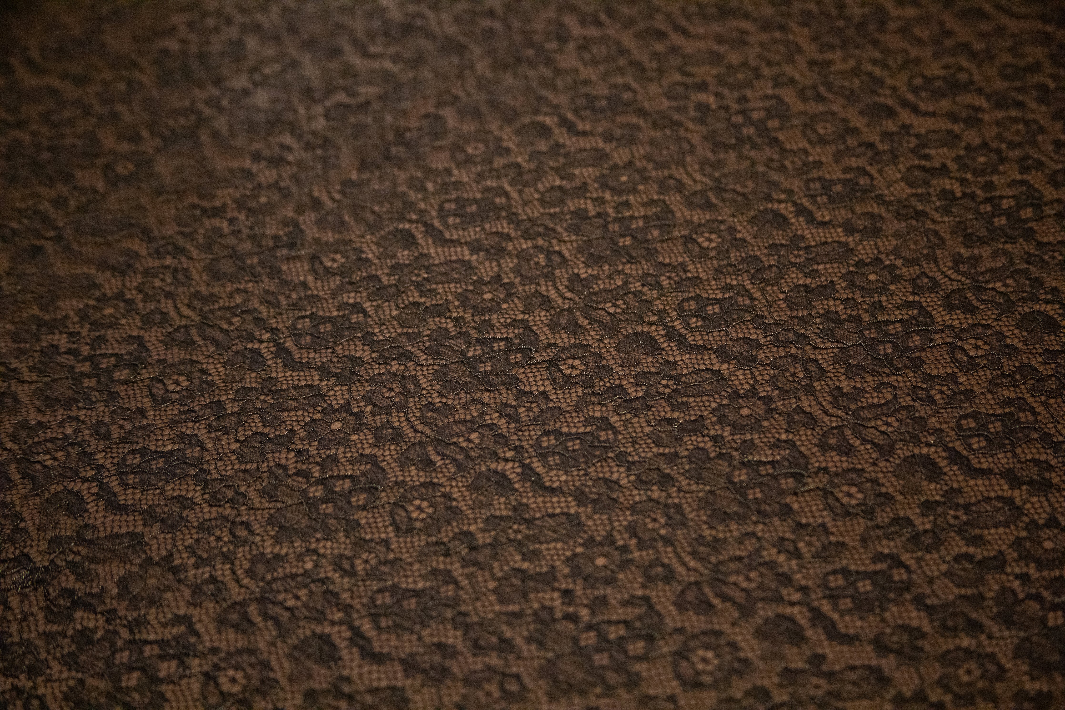 Chantilly Lace in Black/Gold Metallic, Made in France - Image 4