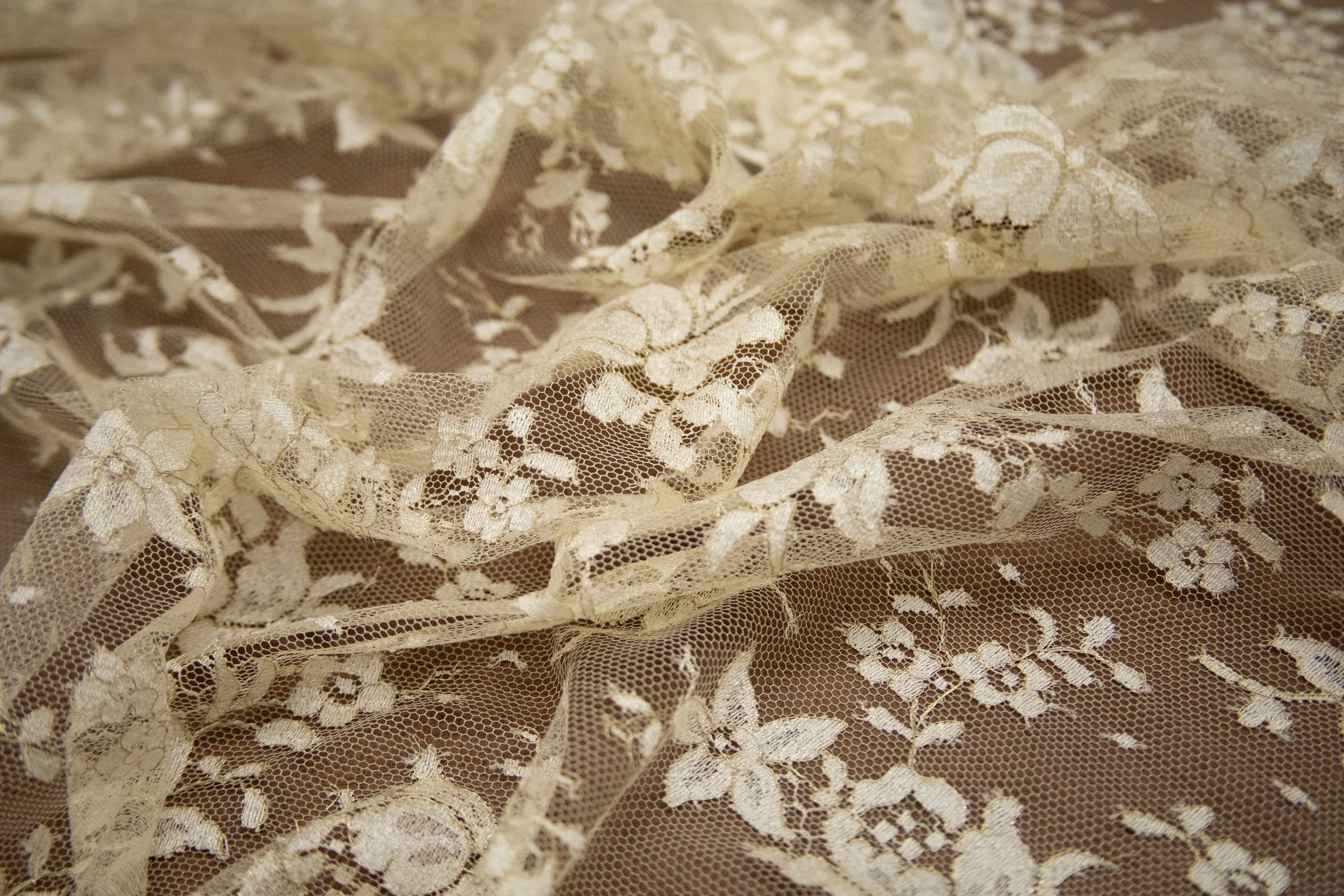 Floral Lace with Beige/Gold Metallic, Made in France - Image 3
