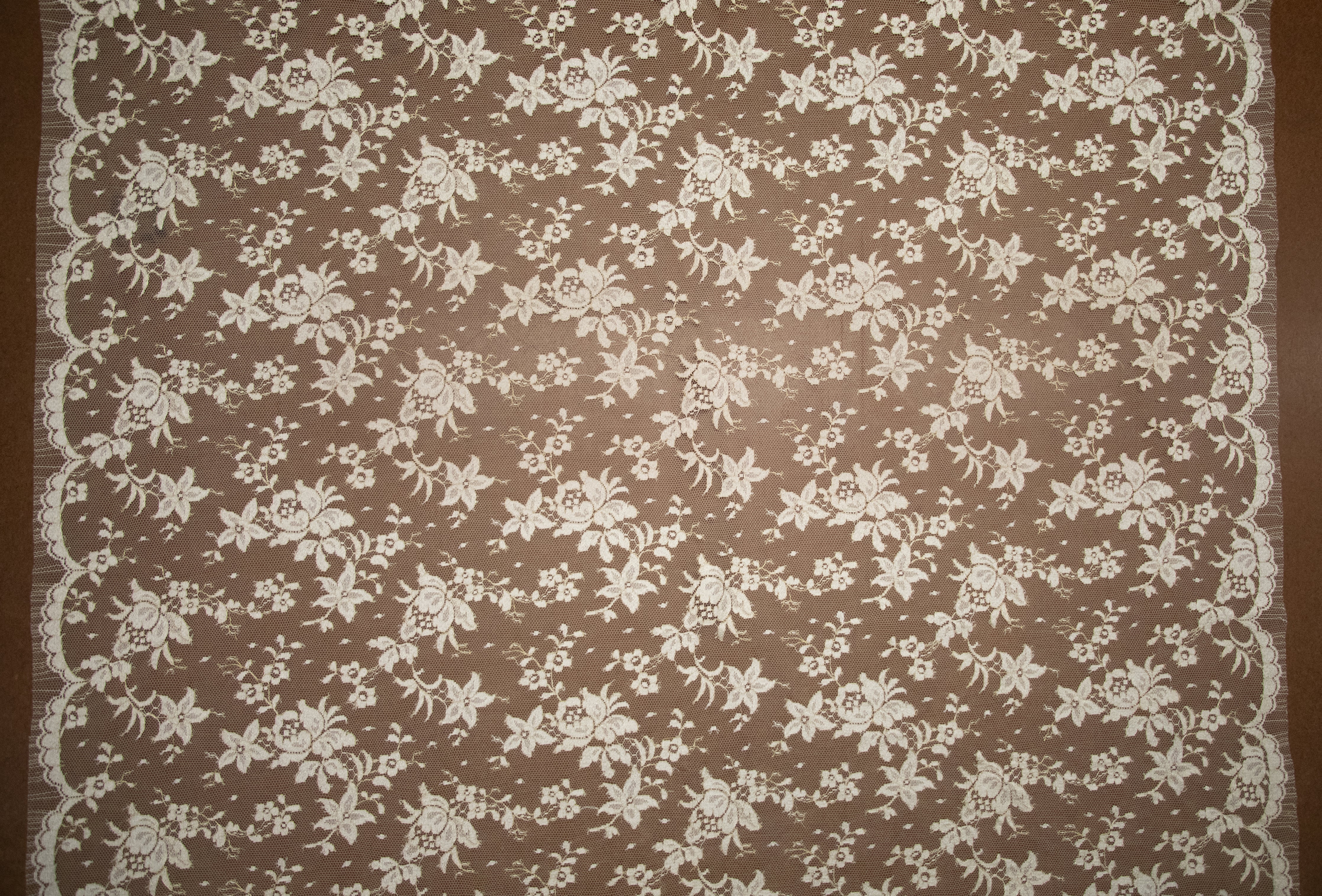 Floral Lace with Beige/Gold Metallic, Made in France - Image 4