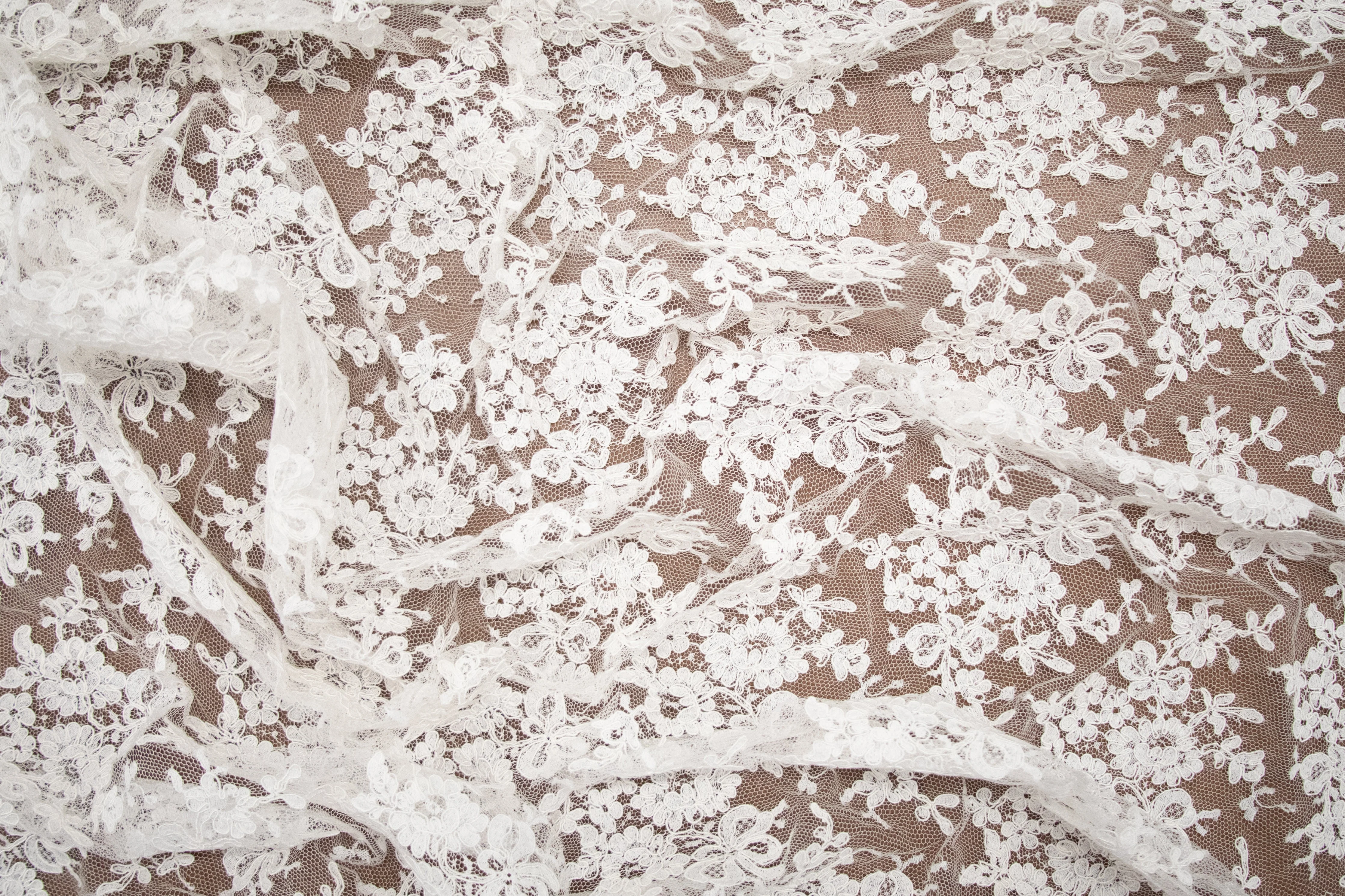 Alencon Lace in Off-White, Made in France - Image 3